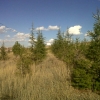 We Have Planted The Kayseri / Malatya Road